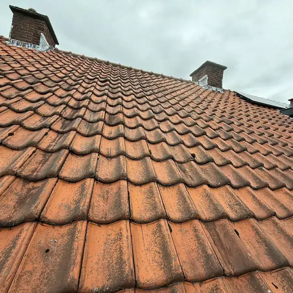 haarlem-schoorstenen-img1