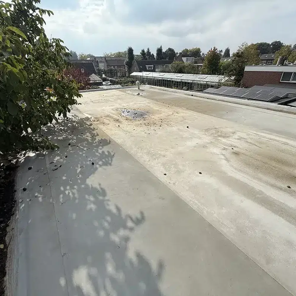 platdak-oisterwijk-img1